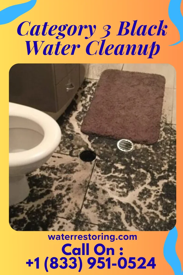 Category 3 Black Water Cleanup in Woodmere, LA